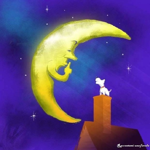 Meet your Posher, Laura - Picture 2 of 2